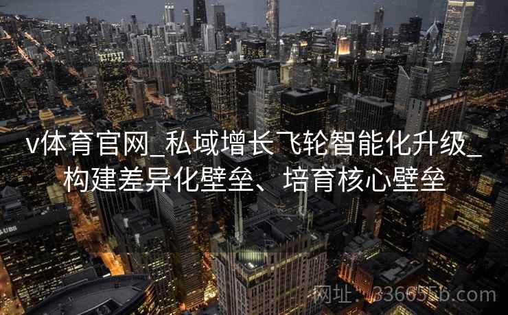 v体育官网_私域增长飞轮智能化升级_构建差异化壁垒、培育核心壁垒