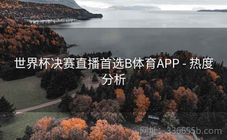 世界杯决赛直播首选B体育APP - 热度分析