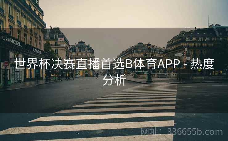 世界杯决赛直播首选B体育APP - 热度分析