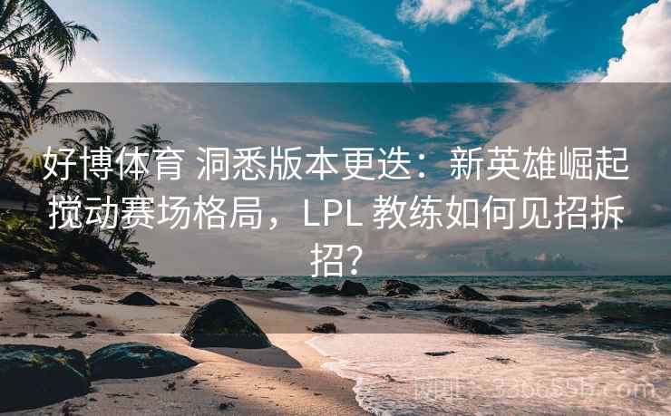 好博体育 洞悉版本更迭：新英雄崛起搅动赛场格局，LPL 教练如何见招拆招？